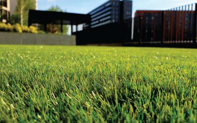 Laying Artificial Grass Tips and Tricks