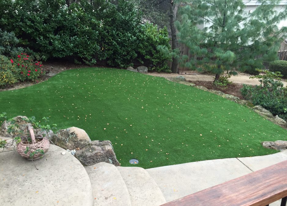 Best Artificial Grass For Your Backyard